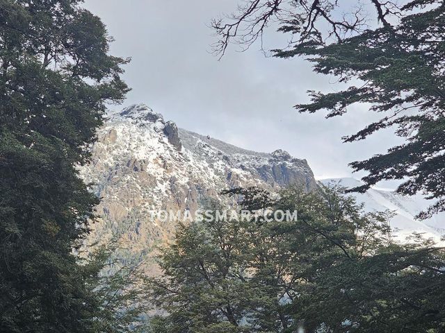 place photo 42