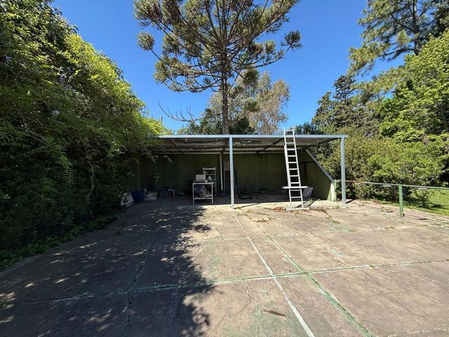 place photo 25