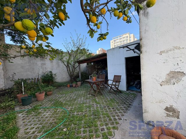 place photo 47