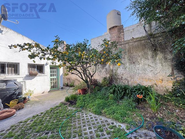 place photo 50