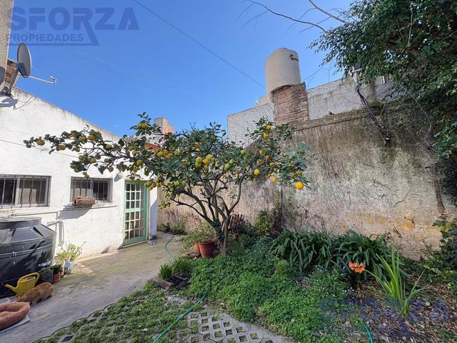 place photo 49
