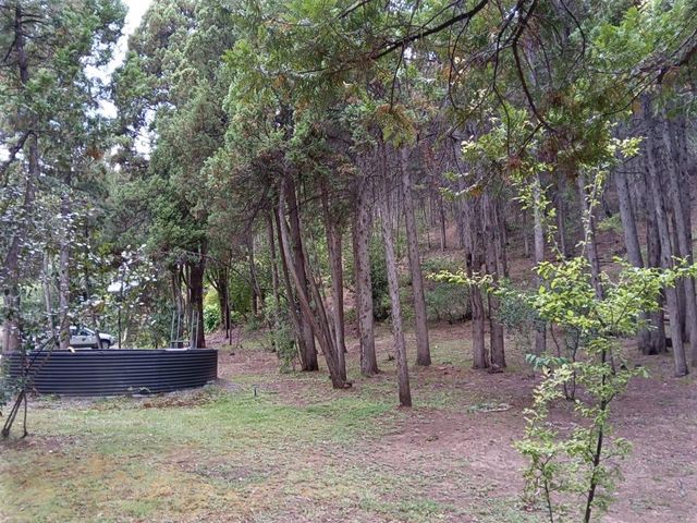 place photo 46