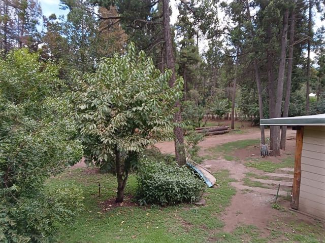 place photo 34