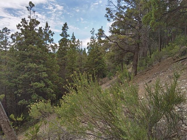 place photo 45