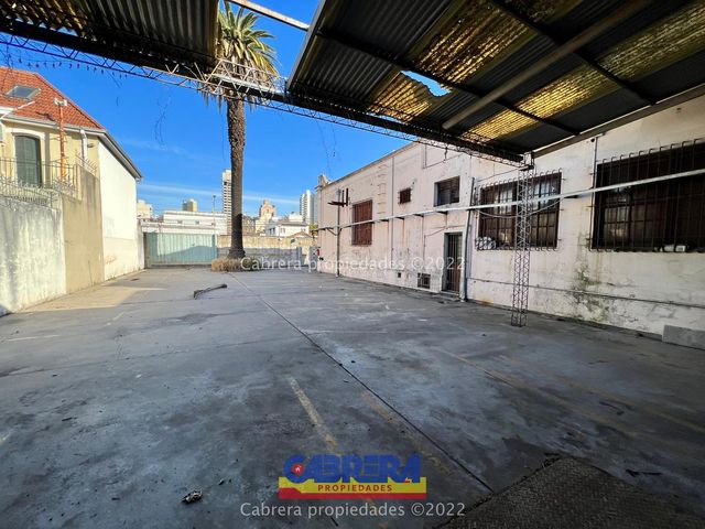place photo 31