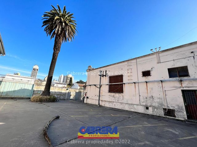 place photo 30