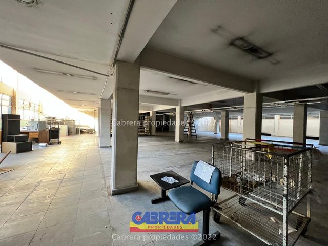 place photo 37