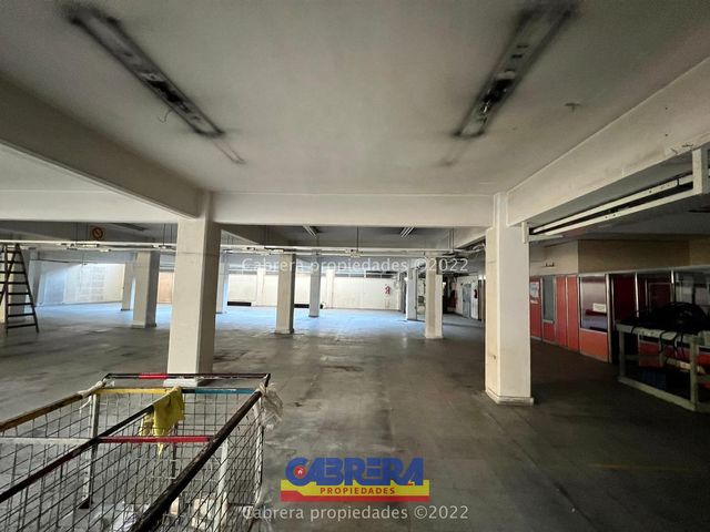 place photo 36