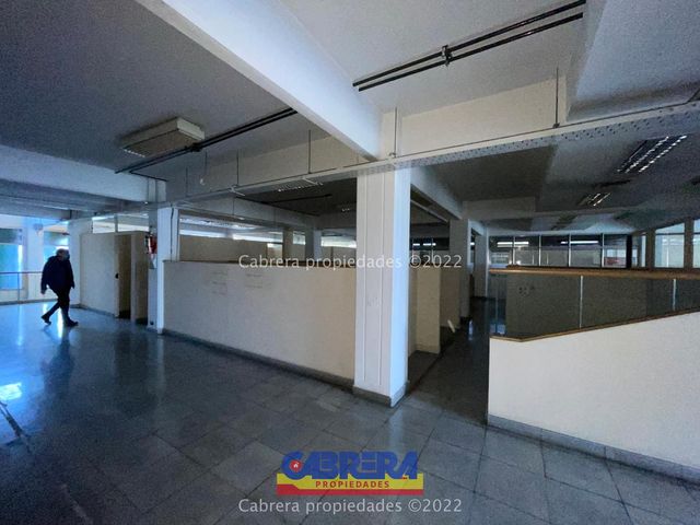 place photo 52