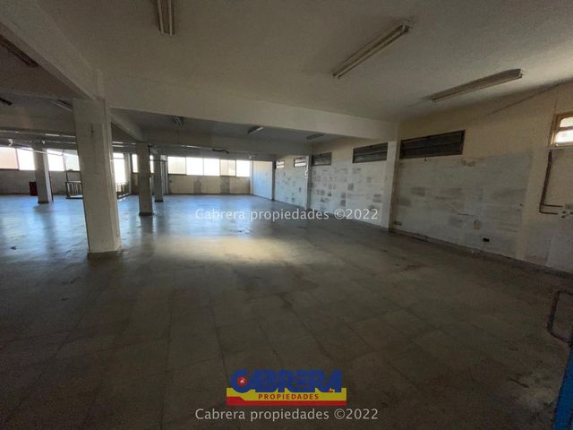 place photo 45