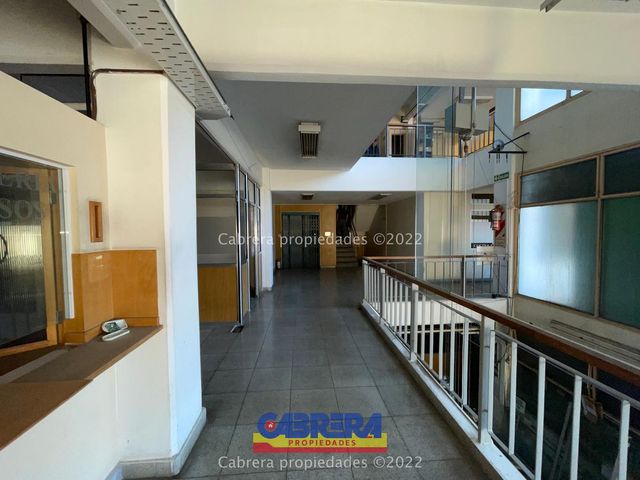 place photo 48