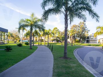 place photo 37