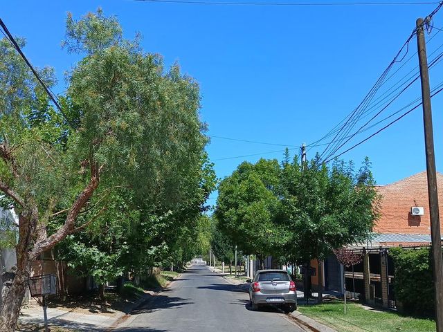 place photo 31