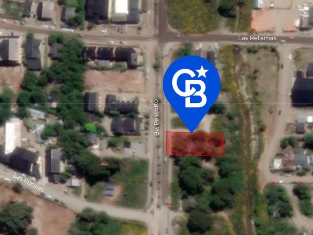 place photo 23