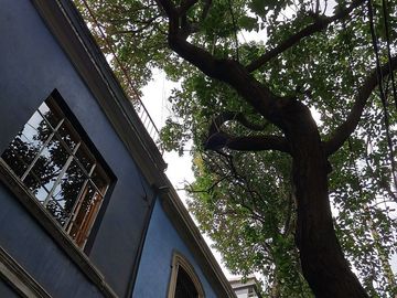 place photo 37
