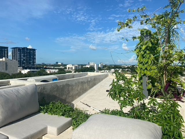 place photo 28
