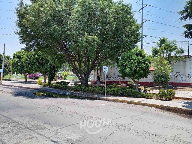 place photo 14