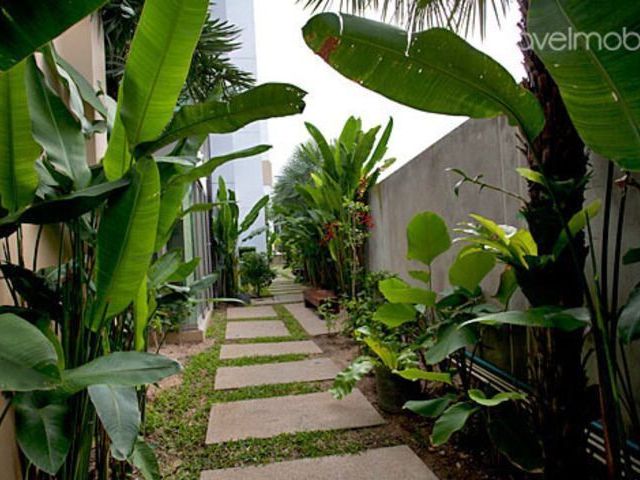 place photo 18