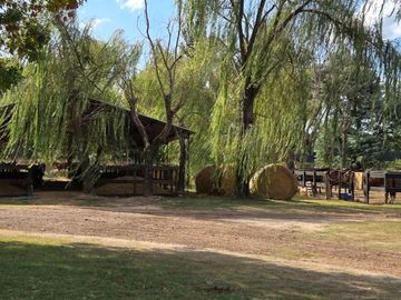 place photo 32