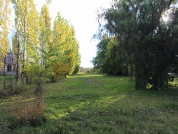 place photo 24