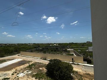 place photo 29