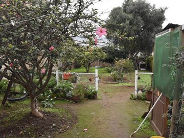 place photo 41