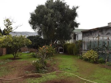 place photo 45