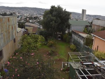 place photo 33