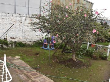 place photo 40