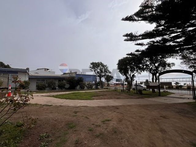 place photo 23