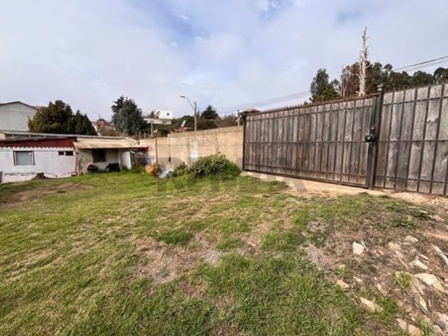 place photo 31