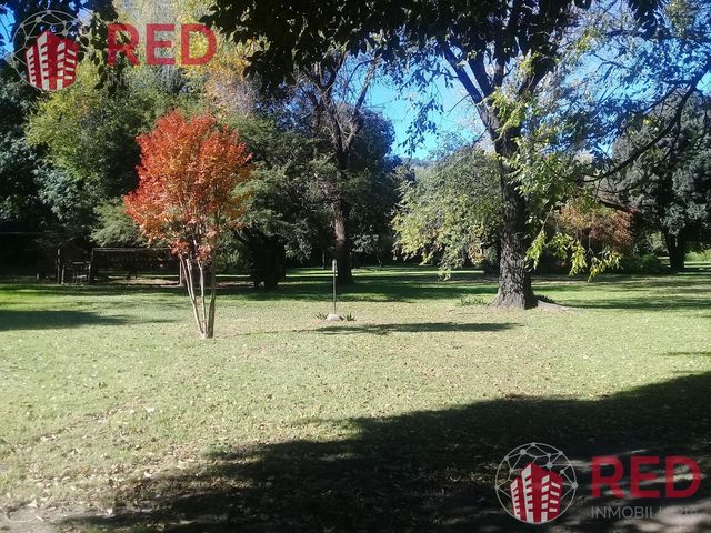 place photo 28