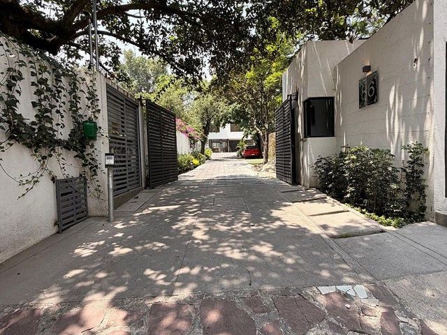 place photo 46