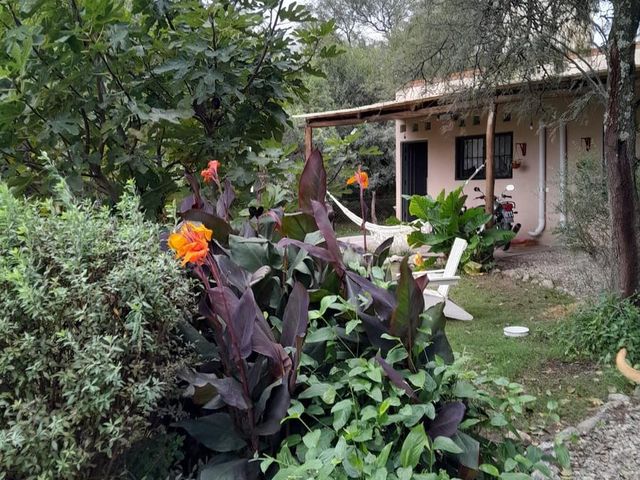 place photo 32