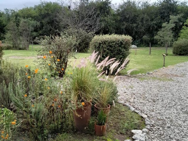 place photo 75