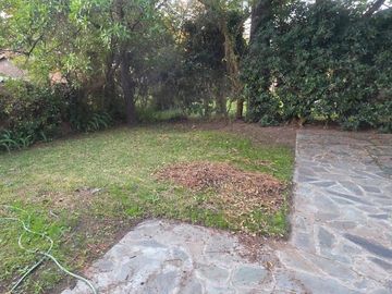 place photo 46