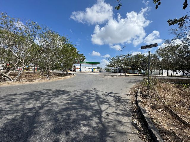 place photo 12