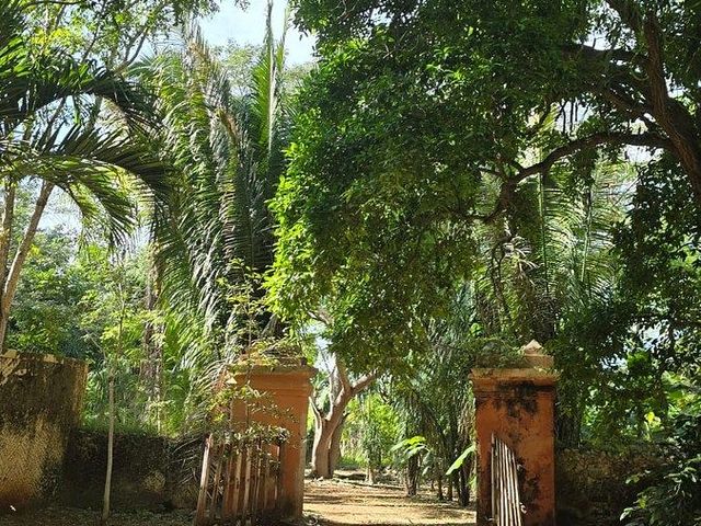 place photo 5