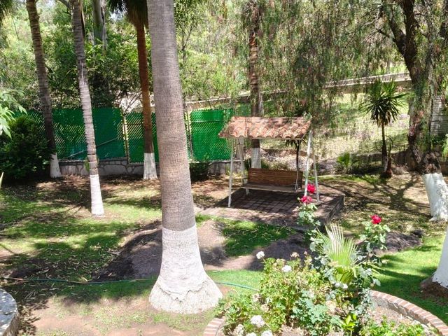place photo 43