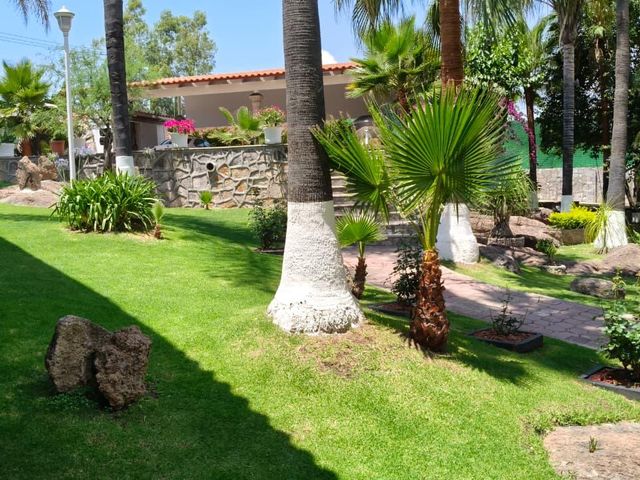 place photo 37