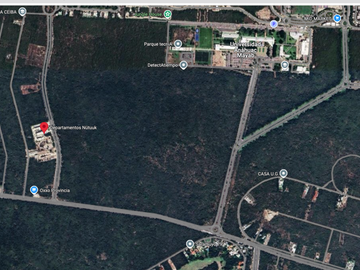 place photo 14