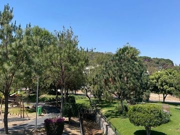place photo 36