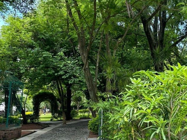 place photo 22