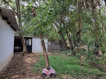 place photo 13