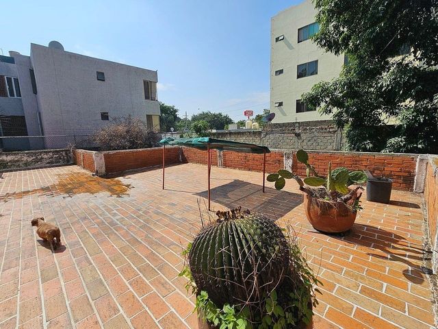 place photo 14
