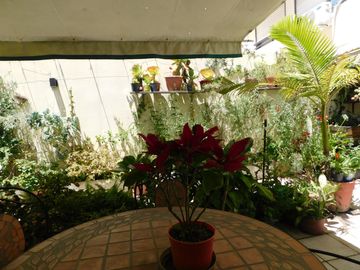 place photo 34