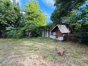 place photo 63