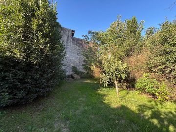 place photo 46