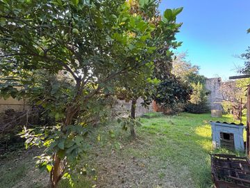 place photo 44