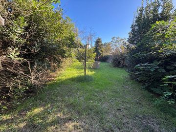 place photo 48